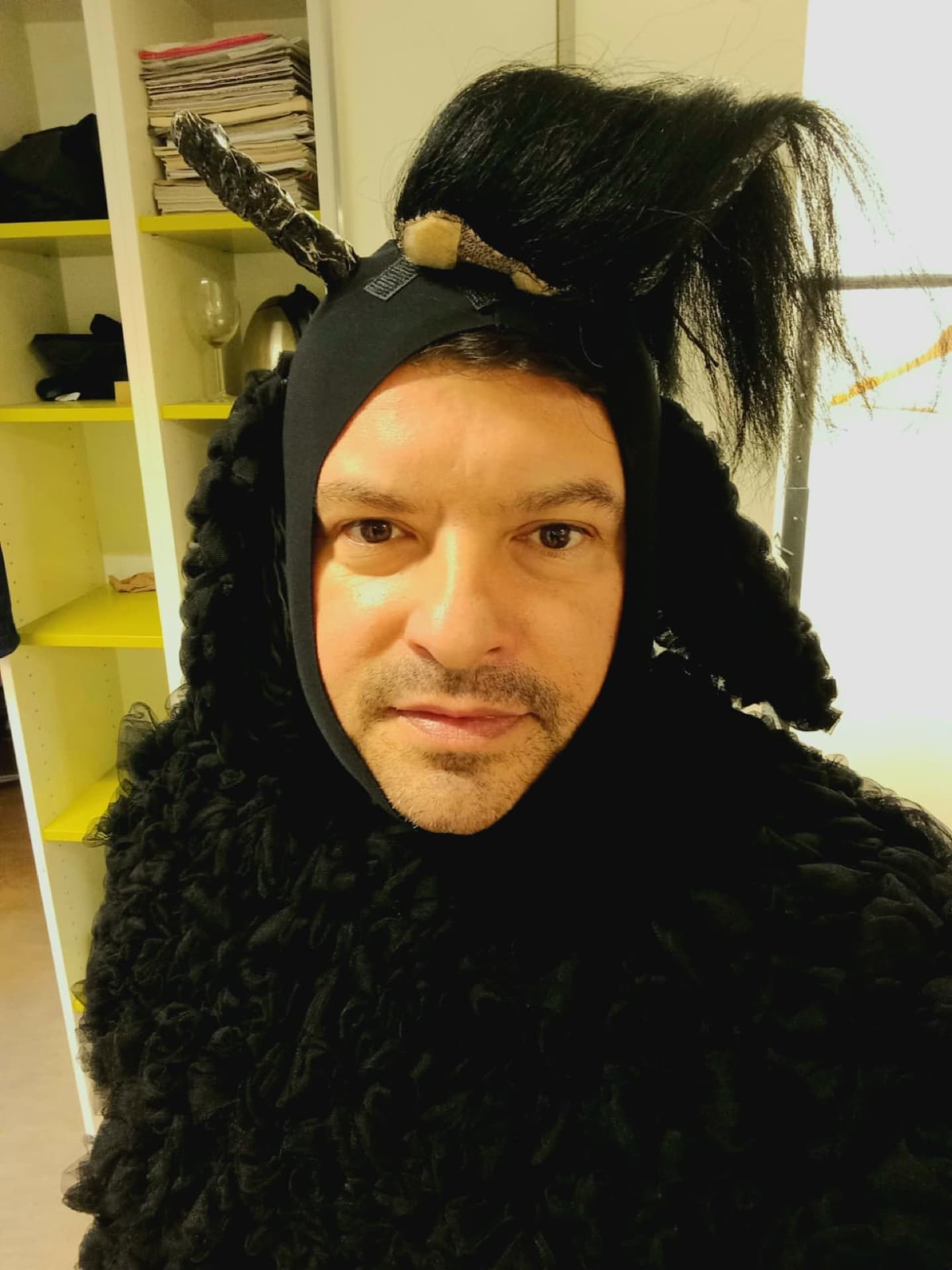 Gabriel Birjovanu - Opera Highlights