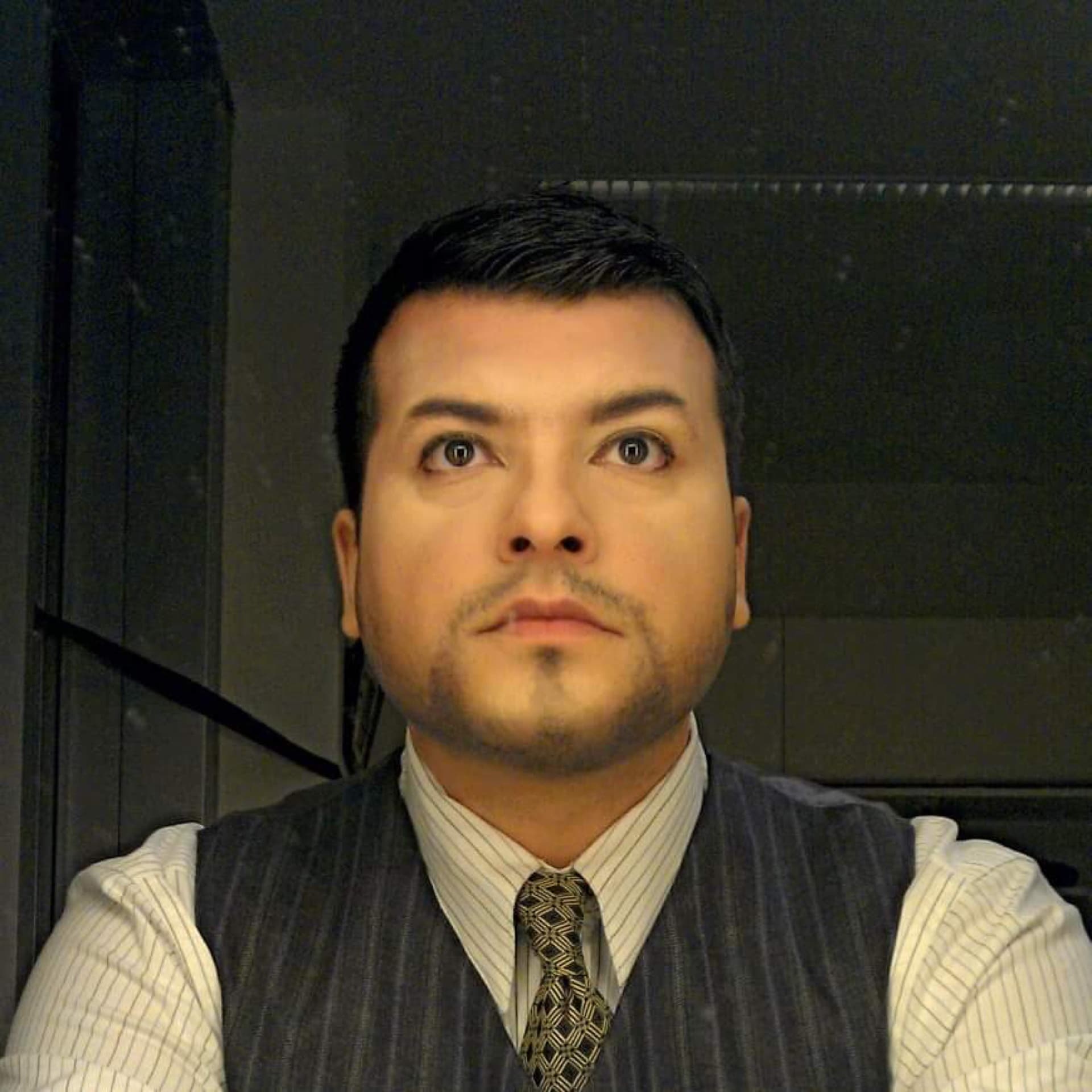 Gabriel Birjovanu - Artistic excellence