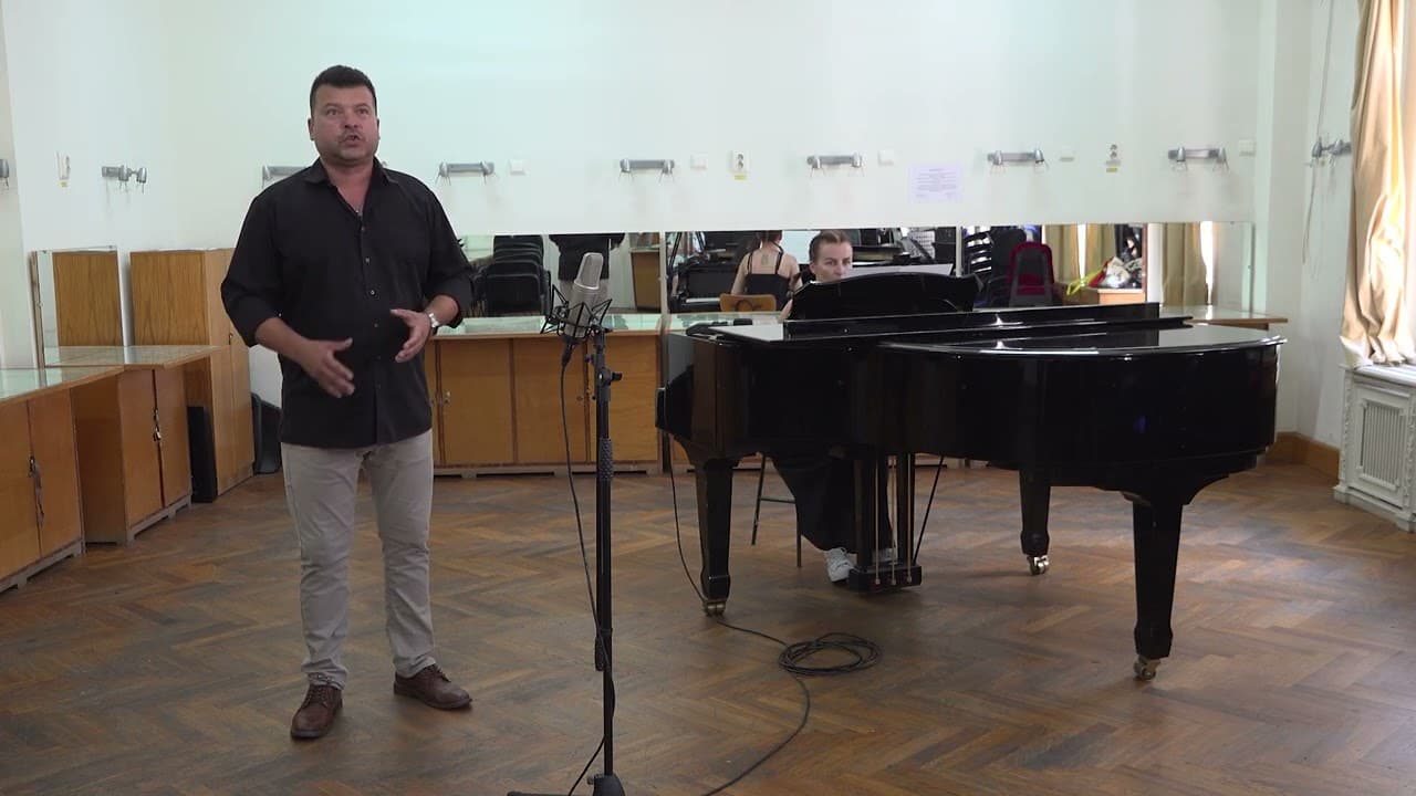 Gabriel Birjovanu Video 7