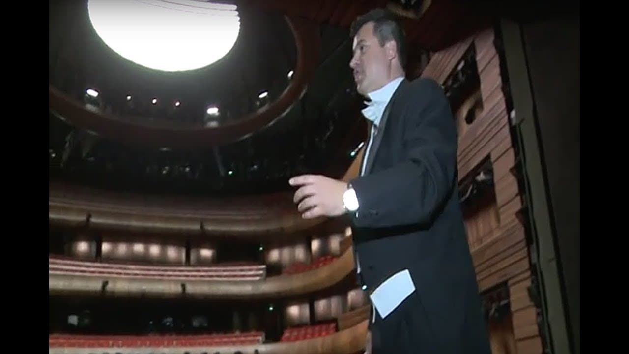 Gabriel Birjovanu Video 1